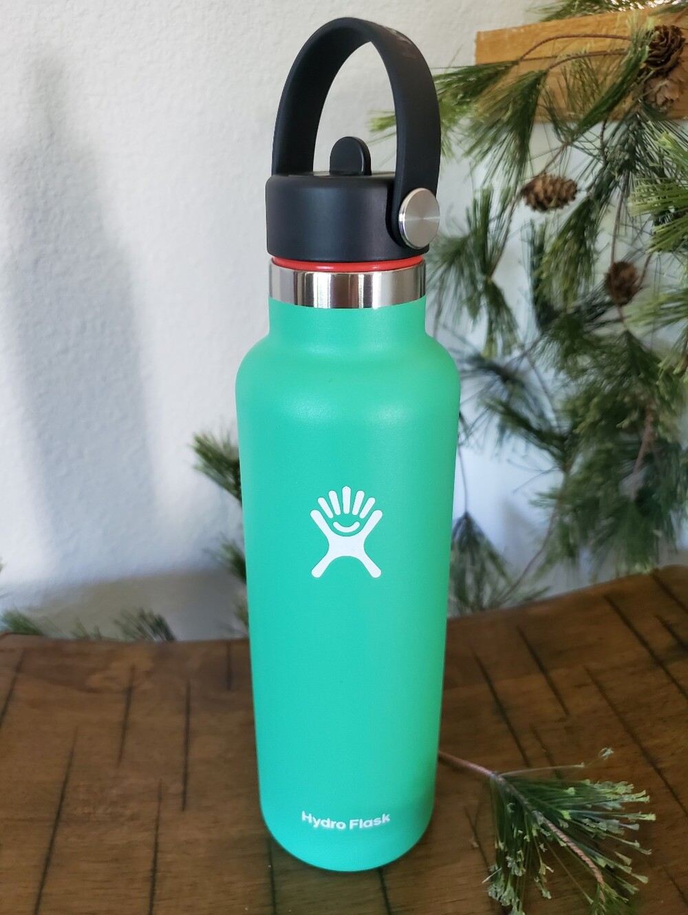 Hydro Flask 21 oz Standard Mouth Water Bottle Spearmint Mint Green Discontinued